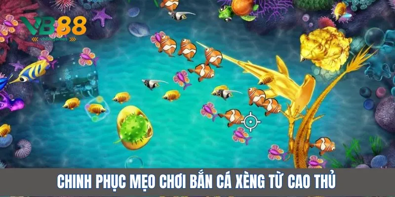 Chinh phục mẹo chơi bắn cá xèng từ cao thủ