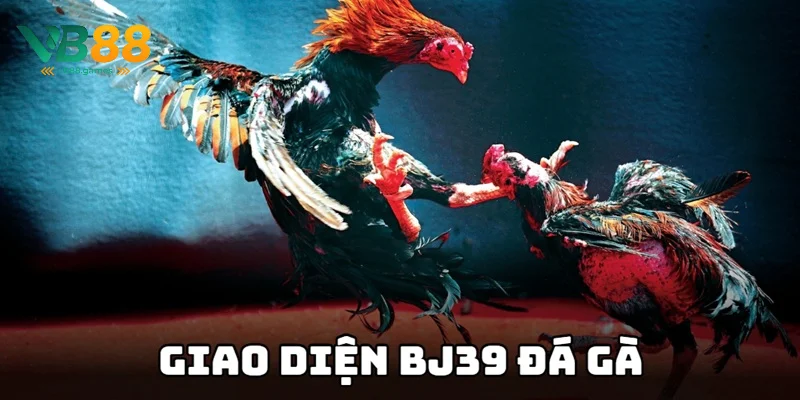 Giao diện chính nhà cái thiết kế khoa học