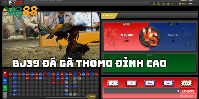 Sảnh cược đá gà Thomo đầy hấp dẫn