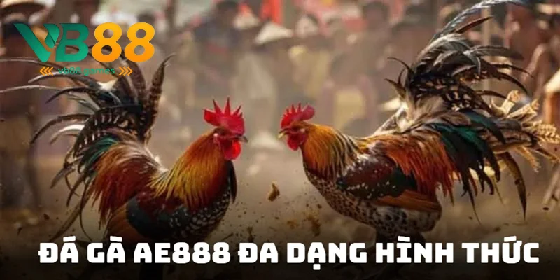 Tận hưởng trận chọi đa dạng hình thức